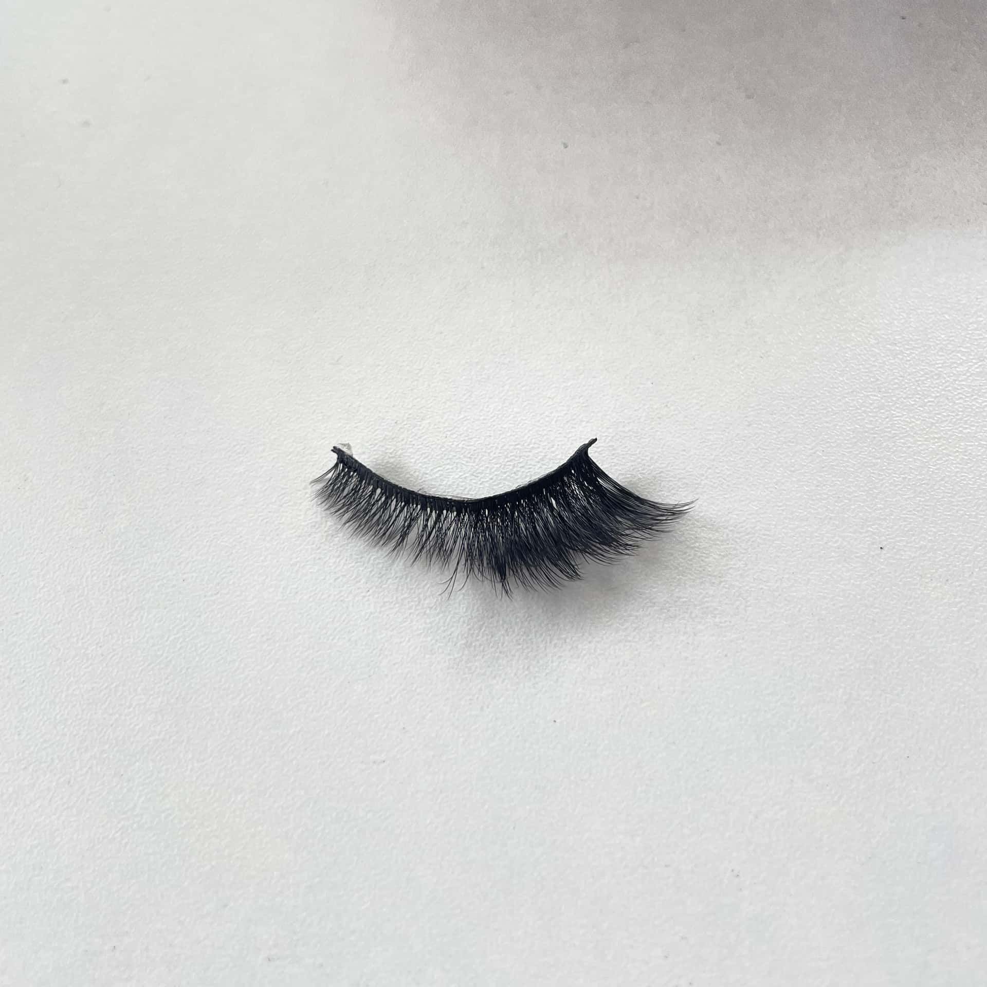 Eye-tip lengthened cat-eye style - 27L — 4
